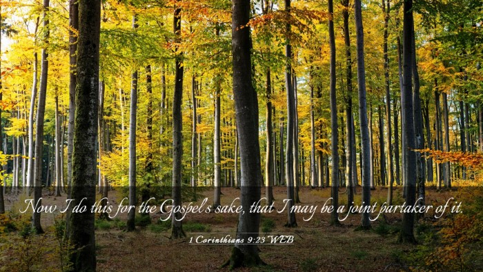 Picture 03 - 1 Corinthians 9:23 WEB Desktop Wallpaper - Now I do this for the Gospel's sake, that I may - Desktop Bible Verse Wallpaper