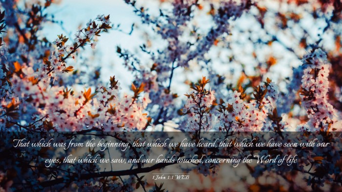 Picture 03 - 1 John 1:1 WEB Desktop Wallpaper - That which was from the beginning, that which we - Desktop Bible Verse Wallpaper