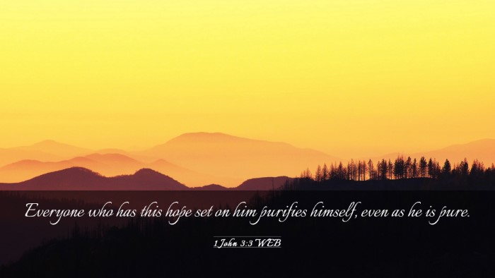 Picture 03 - 1 John 3:3 WEB Desktop Wallpaper - Everyone who has this hope set on him purifies - Desktop Bible Verse Wallpaper