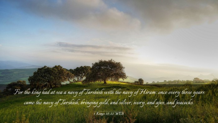 Picture 03 - 1 Kings 10:22 WEB Desktop Wallpaper - For the king had at sea a navy of Tarshish with - Desktop Bible Verse Wallpaper