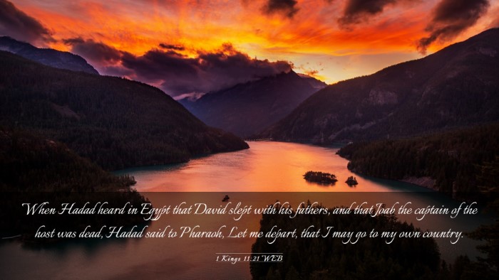 Picture 03 - 1 Kings 11:21 WEB Desktop Wallpaper - When Hadad heard in Egypt that David slept with - Desktop Bible Verse Wallpaper