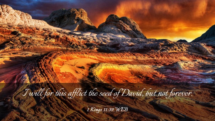Picture 03 - 1 Kings 11:39 WEB Desktop Wallpaper - I will for this afflict the seed of David, but - Desktop Bible Verse Wallpaper
