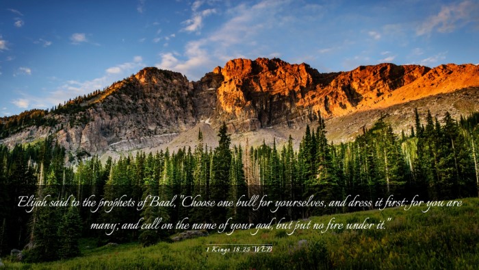 Picture 03 - 1 Kings 18:25 WEB Desktop Wallpaper - Elijah said to the prophets of Baal, 
