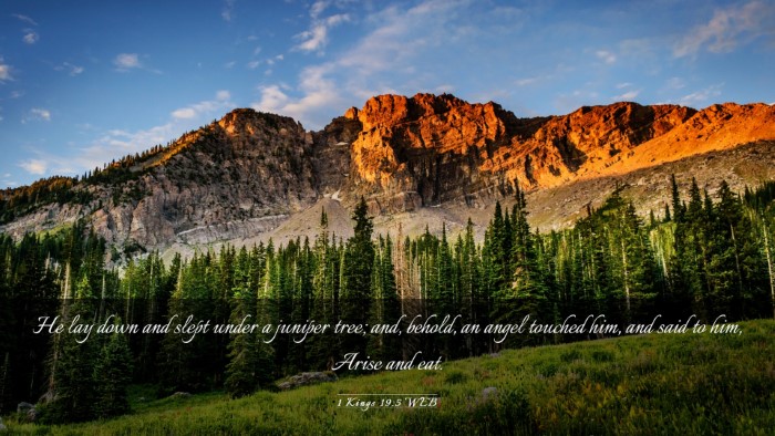 Picture 03 - 1 Kings 19:5 WEB Desktop Wallpaper - He lay down and slept under a juniper tree; and, - Desktop Bible Verse Wallpaper