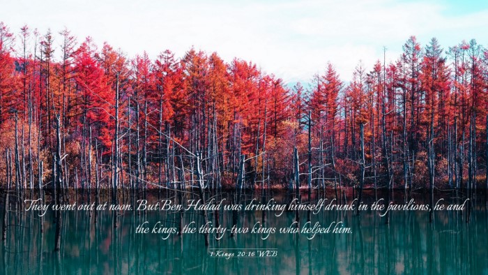Picture 03 - 1 Kings 20:16 WEB Desktop Wallpaper - They went out at noon. But Ben Hadad was drinking - Desktop Bible Verse Wallpaper