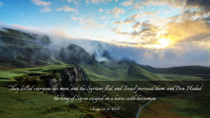 Picture 03 - 1 Kings 20:20 WEB Desktop Wallpaper - They killed everyone his man; and the Syrians - Desktop Bible Verse Wallpaper