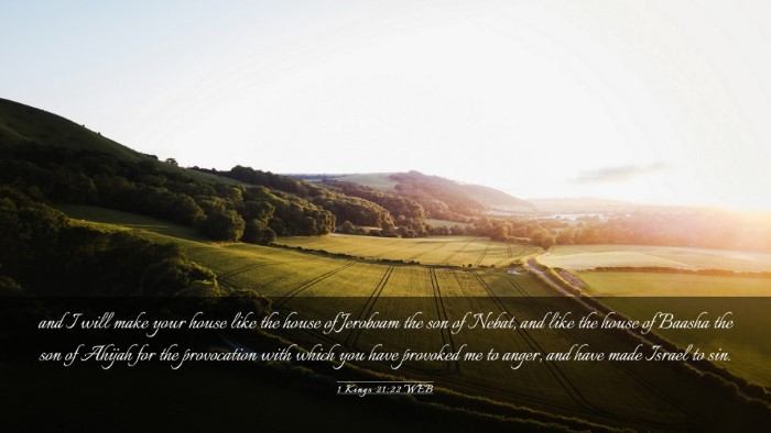 Picture 03 - 1 Kings 21:22 WEB Desktop Wallpaper - and I will make your house like the house of - Desktop Bible Verse Wallpaper