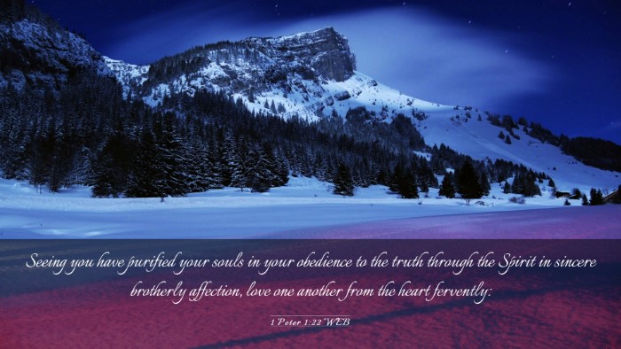 Picture 03 - 1 Peter 1:22 WEB Desktop Wallpaper - Seeing you have purified your souls in your - Desktop Bible Verse Wallpaper