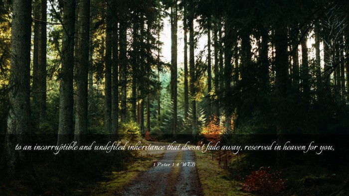 Picture 03 - 1 Peter 1:4 WEB Desktop Wallpaper - to an incorruptible and undefiled inheritance - Desktop Bible Verse Wallpaper