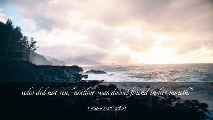 Picture 03 - 1 Peter 2:22 WEB Desktop Wallpaper - who did not sin, 