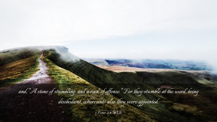 Picture 03 - 1 Peter 2:8 WEB Desktop Wallpaper - and, 