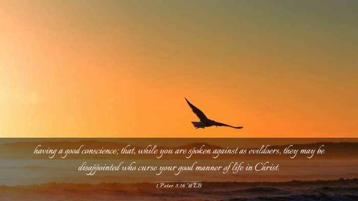 Picture 03 - 1 Peter 3:16 WEB Desktop Wallpaper - having a good conscience; that, while you are - Desktop Bible Verse Wallpaper