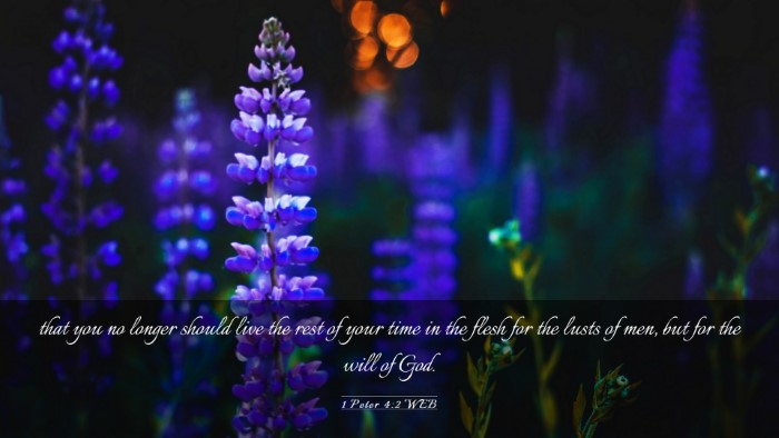 Picture 03 - 1 Peter 4:2 WEB Desktop Wallpaper - that you no longer should live the rest of your - Desktop Bible Verse Wallpaper