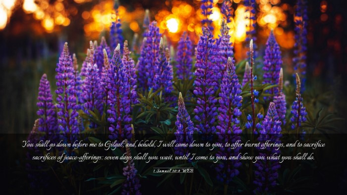 Picture 03 - 1 Samuel 10:8 WEB Desktop Wallpaper - You shall go down before me to Gilgal; and, - Desktop Bible Verse Wallpaper