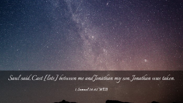 Picture 03 - 1 Samuel 14:42 WEB Desktop Wallpaper - Saul said, Cast [lots] between me and Jonathan my - Desktop Bible Verse Wallpaper