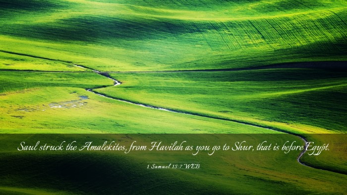 Picture 03 - 1 Samuel 15:7 WEB Desktop Wallpaper - Saul struck the Amalekites, from Havilah as you - Desktop Bible Verse Wallpaper