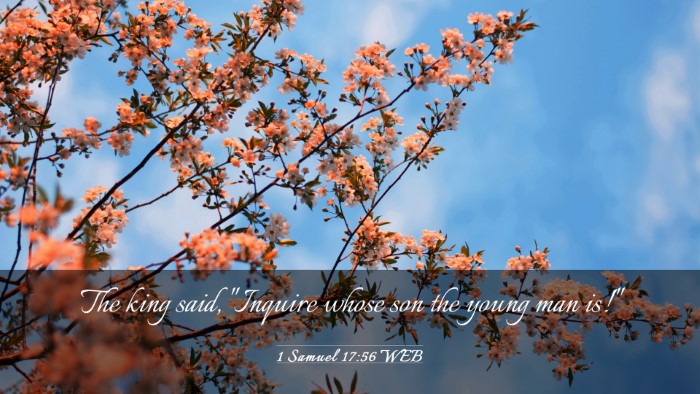 Picture 03 - 1 Samuel 17:56 WEB Desktop Wallpaper - The king said, 
