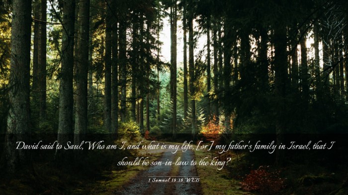 Picture 03 - 1 Samuel 18:18 WEB Desktop Wallpaper - David said to Saul, Who am I, and what is my - Desktop Bible Verse Wallpaper
