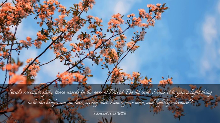 Picture 03 - 1 Samuel 18:23 WEB Desktop Wallpaper - Saul's servants spoke those words in the ears of - Desktop Bible Verse Wallpaper