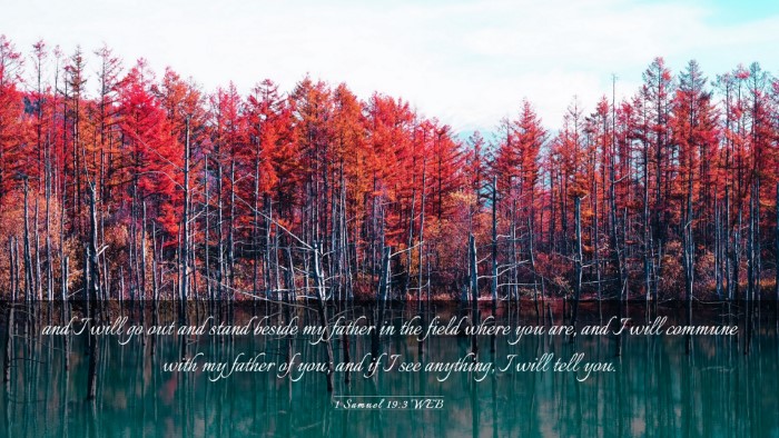 Picture 03 - 1 Samuel 19:3 WEB Desktop Wallpaper - and I will go out and stand beside my father in - Desktop Bible Verse Wallpaper