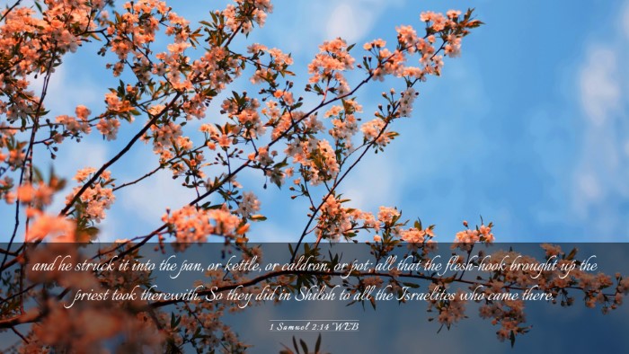 Picture 03 - 1 Samuel 2:14 WEB Desktop Wallpaper - and he struck it into the pan, or kettle, or - Desktop Bible Verse Wallpaper