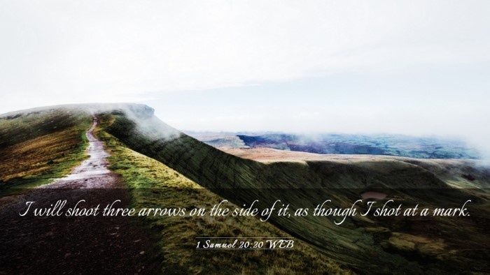 Picture 03 - 1 Samuel 20:20 WEB Desktop Wallpaper - I will shoot three arrows on the side of it, as - Desktop Bible Verse Wallpaper