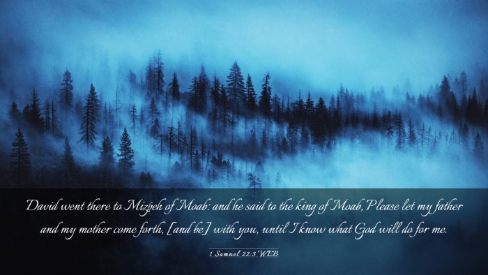 Picture 03 - 1 Samuel 22:3 WEB Desktop Wallpaper - David went there to Mizpeh of Moab: and he said - Desktop Bible Verse Wallpaper
