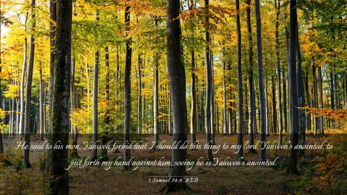 Picture 03 - 1 Samuel 24:6 WEB Desktop Wallpaper - He said to his men, Yahweh forbid that I should - Desktop Bible Verse Wallpaper