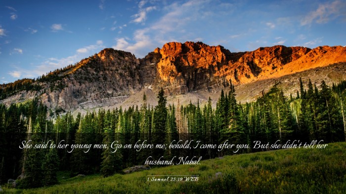 Picture 03 - 1 Samuel 25:19 WEB Desktop Wallpaper - She said to her young men, Go on before me; - Desktop Bible Verse Wallpaper