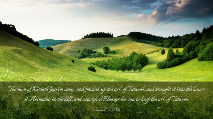 Picture 03 - 1 Samuel 7:1 WEB Desktop Wallpaper - The men of Kiriath Jearim came, and fetched up - Desktop Bible Verse Wallpaper