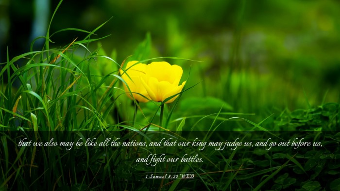 Picture 03 - 1 Samuel 8:20 WEB Desktop Wallpaper - that we also may be like all the nations, and - Desktop Bible Verse Wallpaper