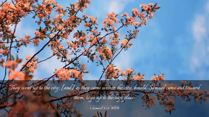 Picture 03 - 1 Samuel 9:14 WEB Desktop Wallpaper - They went up to the city; [and] as they came - Desktop Bible Verse Wallpaper