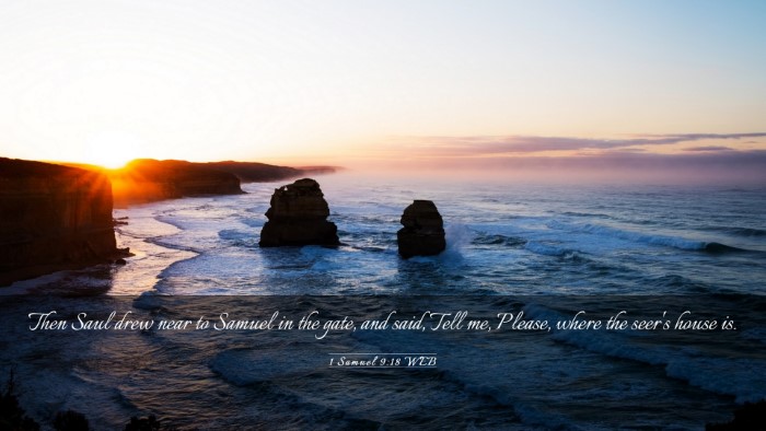 Picture 03 - 1 Samuel 9:18 WEB Desktop Wallpaper - Then Saul drew near to Samuel in the gate, and - Desktop Bible Verse Wallpaper
