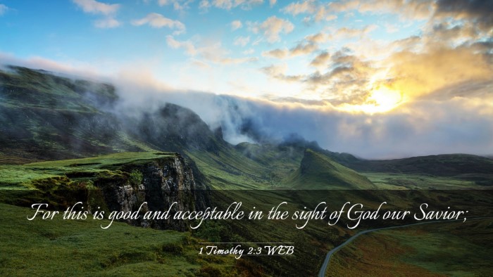 Picture 03 - 1 Timothy 2:3 WEB Desktop Wallpaper - For this is good and acceptable in the sight of - Desktop Bible Verse Wallpaper