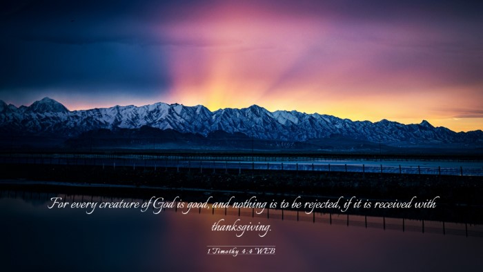 Picture 03 - 1 Timothy 4:4 WEB Desktop Wallpaper - For every creature of God is good, and nothing is - Desktop Bible Verse Wallpaper