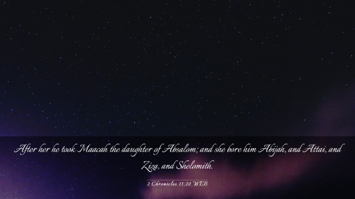 Picture 03 - 2 Chronicles 11:20 WEB Desktop Wallpaper - After her he took Maacah the daughter of Absalom; - Desktop Bible Verse Wallpaper