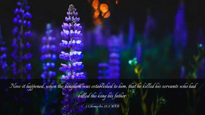 Picture 03 - 2 Chronicles 25:3 WEB Desktop Wallpaper - Now it happened, when the kingdom was established - Desktop Bible Verse Wallpaper