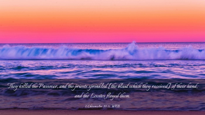 Picture 03 - 2 Chronicles 35:11 WEB Desktop Wallpaper - They killed the Passover, and the priests - Desktop Bible Verse Wallpaper