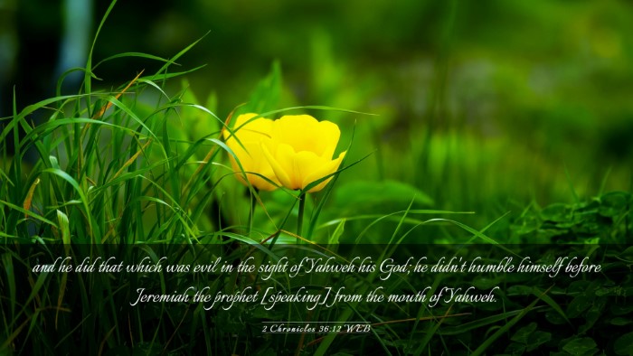 Picture 03 - 2 Chronicles 36:12 WEB Desktop Wallpaper - and he did that which was evil in the sight of - Desktop Bible Verse Wallpaper