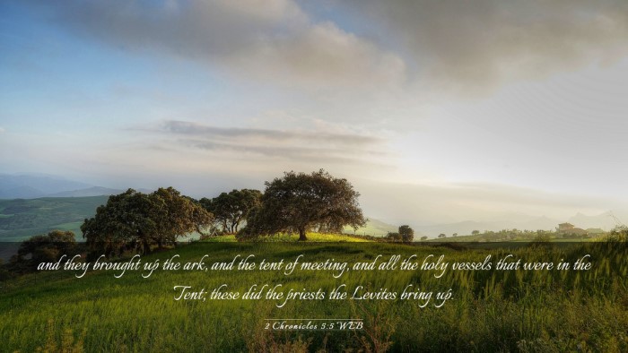Picture 03 - 2 Chronicles 5:5 WEB Desktop Wallpaper - and they brought up the ark, and the tent of - Desktop Bible Verse Wallpaper