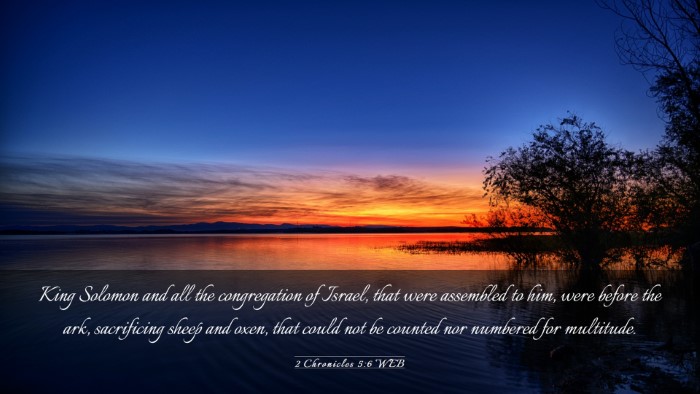 Picture 03 - 2 Chronicles 5:6 WEB Desktop Wallpaper - King Solomon and all the congregation of Israel, - Desktop Bible Verse Wallpaper
