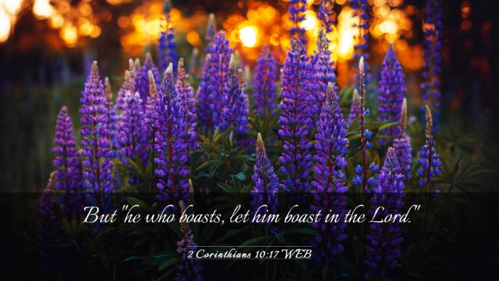 Picture 03 - 2 Corinthians 10:17 WEB Desktop Wallpaper - But 