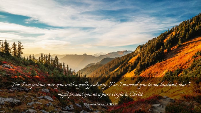 Picture 03 - 2 Corinthians 11:2 WEB Desktop Wallpaper - For I am jealous over you with a godly jealousy. - Desktop Bible Verse Wallpaper