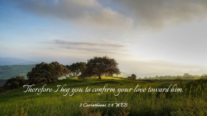 Picture 03 - 2 Corinthians 2:8 WEB Desktop Wallpaper - Therefore I beg you to confirm your love toward - Desktop Bible Verse Wallpaper