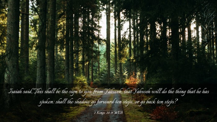 Picture 03 - 2 Kings 20:9 WEB Desktop Wallpaper - Isaiah said, This shall be the sign to you from - Desktop Bible Verse Wallpaper