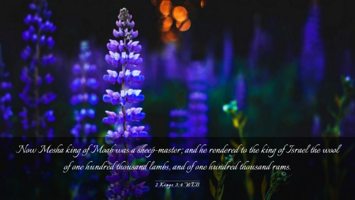 Picture 03 - 2 Kings 3:4 WEB Desktop Wallpaper - Now Mesha king of Moab was a sheep-master; and he - Desktop Bible Verse Wallpaper