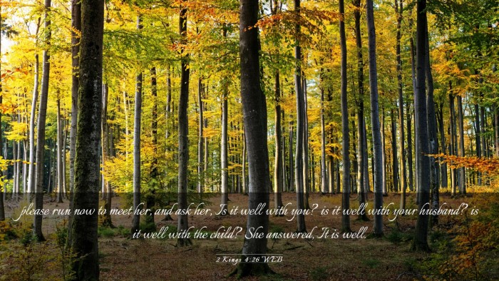 Picture 03 - 2 Kings 4:26 WEB Desktop Wallpaper - please run now to meet her, and ask her, Is it - Desktop Bible Verse Wallpaper