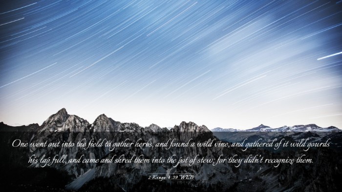 Picture 03 - 2 Kings 4:39 WEB Desktop Wallpaper - One went out into the field to gather herbs, and - Desktop Bible Verse Wallpaper