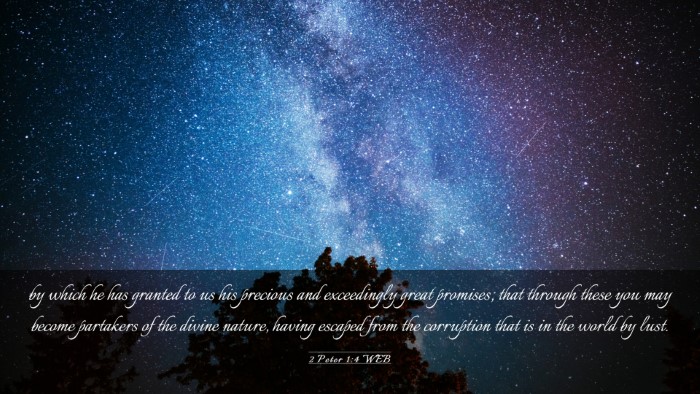 Picture 03 - 2 Peter 1:4 WEB Desktop Wallpaper - by which he has granted to us his precious and - Desktop Bible Verse Wallpaper