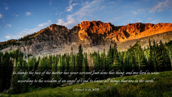 Picture 03 - 2 Samuel 14:20 WEB Desktop Wallpaper - to change the face of the matter has your servant - Desktop Bible Verse Wallpaper